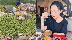 歐陽靖貼出雲嘉南遭受颱風重創的慘況。（圖／翻攝自臉書）