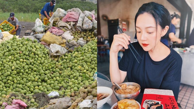 丹娜絲重創！女星洗冷水澡：多人無家可歸