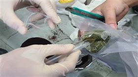 桃園機場,大麻,毒品,觀光（圖／翻攝畫面）