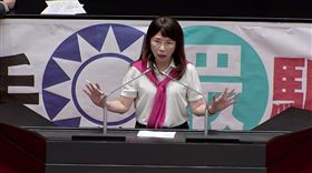 ▲林楚茵、陳昭姿談特別條例（圖／翻攝畫面）