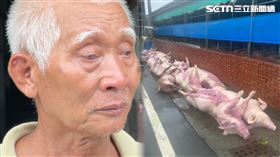 嘉義,義竹鄉,獸魂碑,理事長,骨頭,母豬,漏電,畜牧場,雨鞋