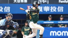 ▲台鋼雄鷹陳飛霖。（圖／台鋼雄鷹提供） 