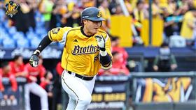 ▲高宇杰敲出超前安。（圖／中信兄弟提供） 