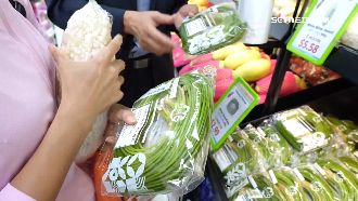 a(推)高星馬拓銷081118..