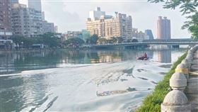 溺水,愛河,高雄