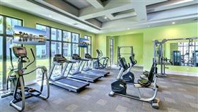 日本山梨縣北斗市,上班族,社群網站上,台灣健身房老闆,投資,加密資產,警方,戀愛詐騙（圖／Pixabay）