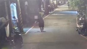 ▲疑債務糾紛釀口角衝突　土城警1小時內火速逮2嫌。（圖／翻攝畫面）