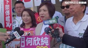 ▲何欣純等民進黨立委上午與台中罷團一起站路口催票。（圖／翻攝畫面）