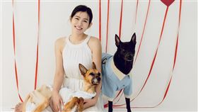 米可白。（圖／翻攝自臉書）