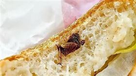 一名女子購買知名連鎖速食店的漢堡，才咬一口就發現麵包中夾著「半截蟑螂」，當場嚇傻，立刻催吐，竟從喉嚨中吐出另一半。（圖／翻攝自微博）