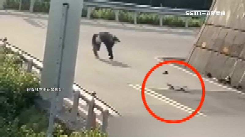滑板玩家武嶺溜滑板飆下山　沿途車嚇狂閃
