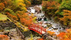 日本四國高知,燦星旅遊提供