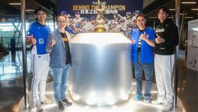 ▲12強冠軍特展移師臺南國立臺灣歷史博物館展出。（圖／統一獅球團提供） 