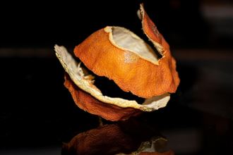 海邊驚見詭異「橘子皮」竟是罕見瀕危生物