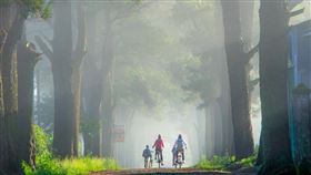 ▲暑假出遊不怕颱風攪局 國泰產險首推海外旅行綜合險專案，能在遇到突發狀況時幫助民眾。（示意圖／PIXABAY） 