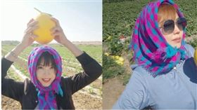 劉樂妍直播賣蜜瓜。（圖／翻攝自微博）