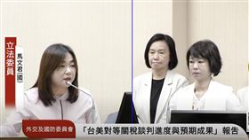 ▲行政院經貿辦副總談判代表顏慧欣透露談判目標（圖／翻攝自國會頻道）