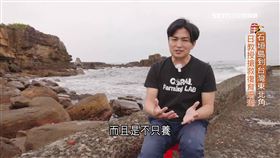 來自日本石垣島的海洋生物學者識名信也，十年前隻身來台，將東北角一座廢棄九孔池變為珊瑚的復育天堂。