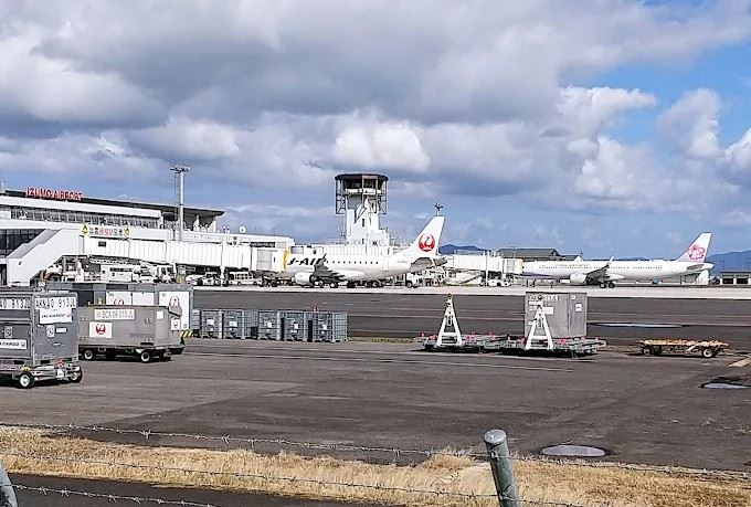 日本出雲機場嘗試施放煙火與空包彈驅鳥,但數量太多,無法有效嚇阻。(圖/翻攝自Google maps)