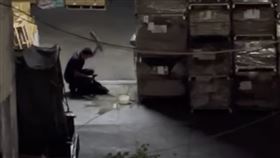 黑狗被陳男拉住後肢，還被棍棒猛打，場面十分恐怖。（圖／翻攝自米克斯傳奇）