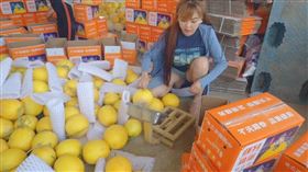 劉樂妍近日參加中國的蜜瓜季。（圖／翻攝自微博）