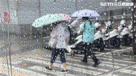下雨、大雨、午後雷陣雨、雷雨、雨勢、撐傘、雨傘 圖／記者楊惟甯攝影
