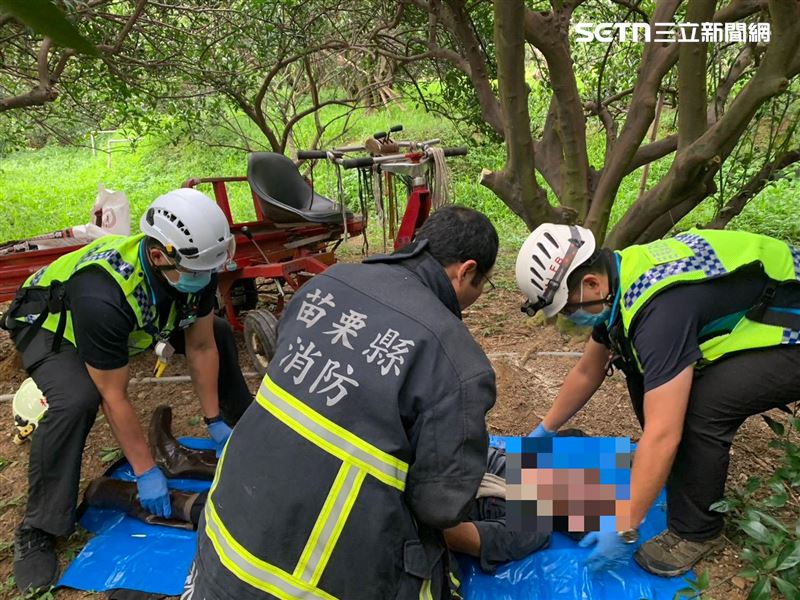 林姓老翁遭夾困於樹木與搬運車之間,無呼吸心跳,送醫後仍不治。(圖/翻攝畫面)