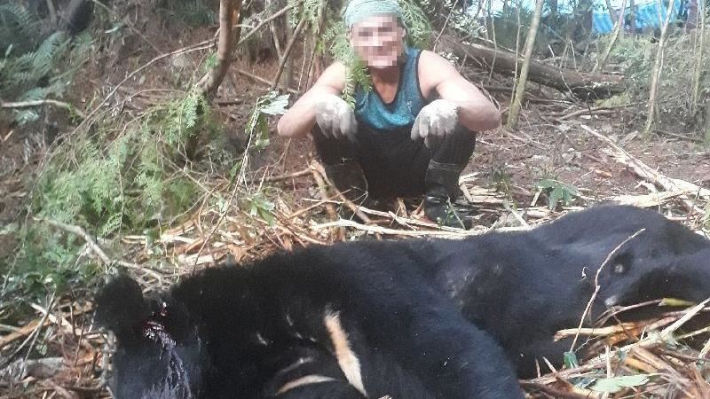 山老鼠吃「國寶」死山中　林保署求償敗訴