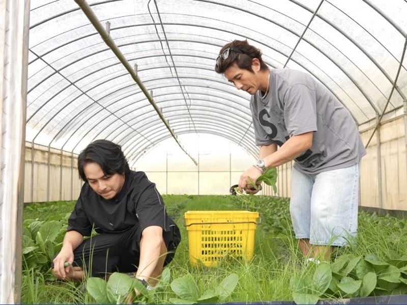 修杰楷與楊銘威一邊摘菜一邊上課,順道認識各種菜類。(圖/修TIME提供)