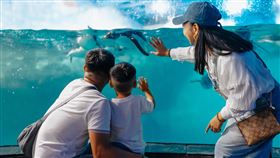 屏東海生館25週年感動回顧！達克比闖關、福爾摩鯊主題活動（業配勿用）