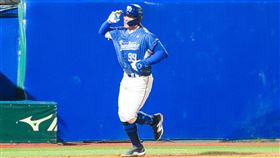 ▲富邦悍將張育成。（圖／富邦悍將提供） 