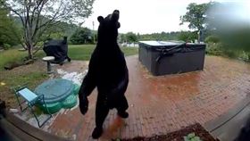 黑熊起身按了門鈴，但沒有人回應，只好後退並離開。（圖／翻攝自Jay Lievens臉書）