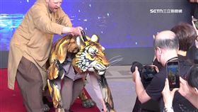 《少年PI的奇幻漂流》台灣首演　逼真巨型戲偶驚豔全場