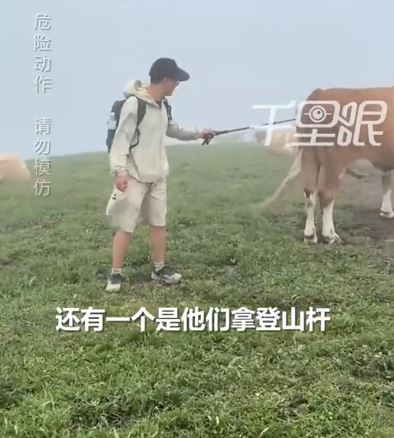 遊客不斷挑釁牛隻才會被攻擊。（圖／翻攝自微博）