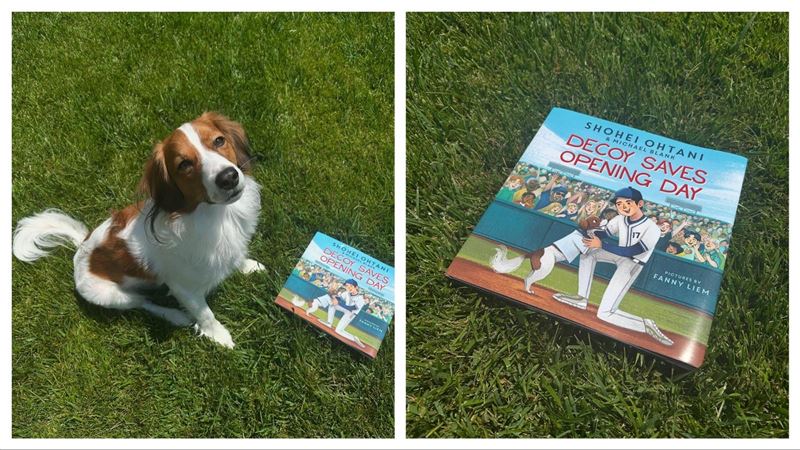 大谷翔平出兒童讀物，愛犬Decoy是主角。（圖／翻攝自大谷翔平IG）