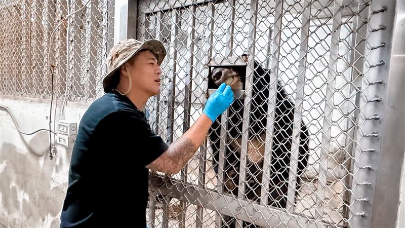 竇智孔認養黑熊、犀鳥、犀牛,化身壽山動物園親子大使。(圖/竇智孔提供)