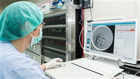 不孕症,子宮,陰道,好菌,胚胎,著床,益生菌（圖／茂盛醫院提供）