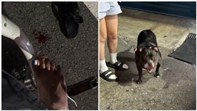 惡霸,新竹,Ubike,指甲（圖／當事人提供）