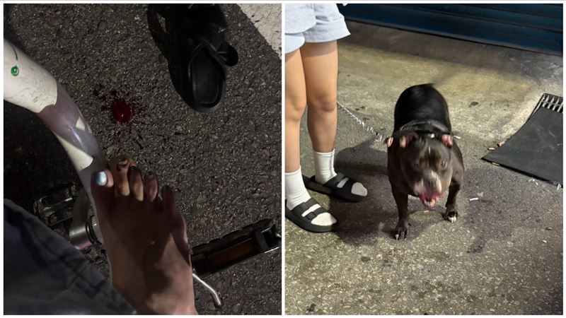 妹子騎車被攻擊「惡霸」衝出咬腳…血狂流