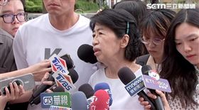 ▲陳佩琪出席「民主起義！反罷要贏 台灣要贏」活動。（圖／翻攝畫面）