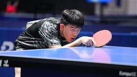 ▲台灣桌球好手高承睿。（圖／大專體總提供） 