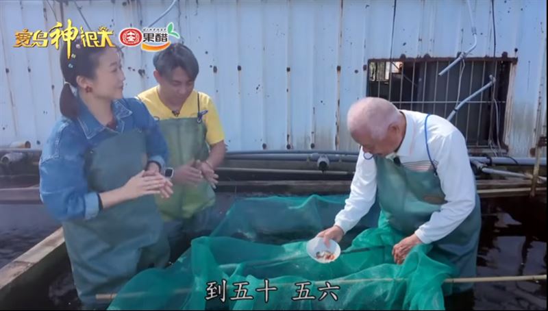 阿白與凱揚一同走訪長沙村直擊傳說中的「數魚歌」。（圖／寶島神很大）
