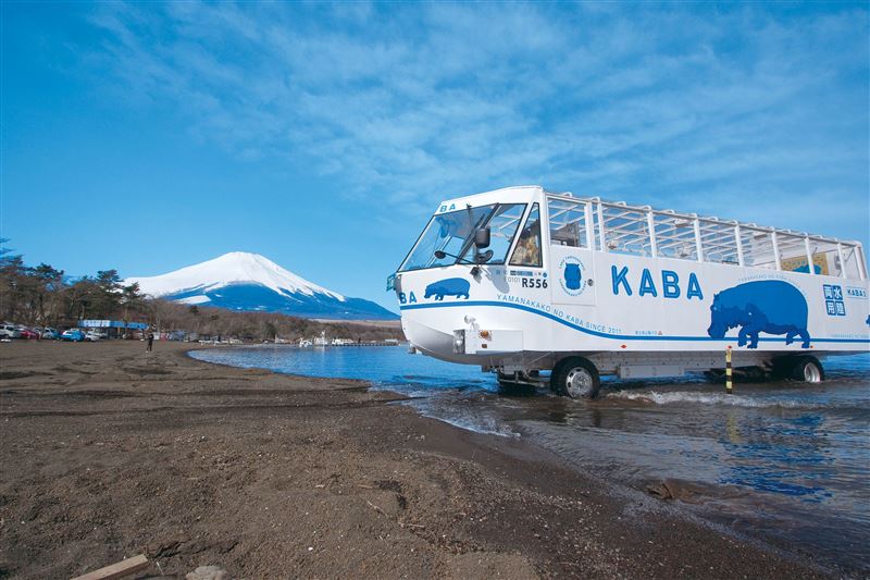 KABA河馬巴士是可愛造型的水陸兩用車,帶你陸上巡遊再直接衝入湖中,體驗獨特的富士山下冒險之旅。(圖/易飛旅遊提供)