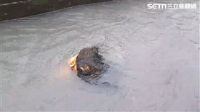 ▲台東縣豪雨不斷，溝渠內驚見「人頭」載浮載沉。（圖／翻攝畫面）