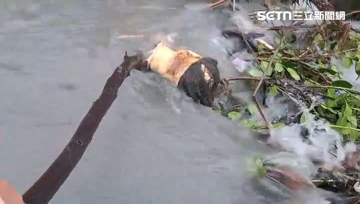 台東縣豪雨不斷,溝渠內驚見「人頭」載浮載沉。(圖/翻攝畫面)