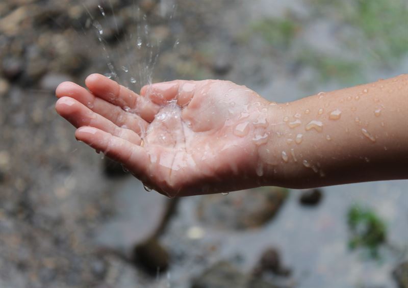 若遇暴雨反致農損，古諺的重點其實在「剛剛好」的雨。（圖／寶島神很大）（圖／CANVA）