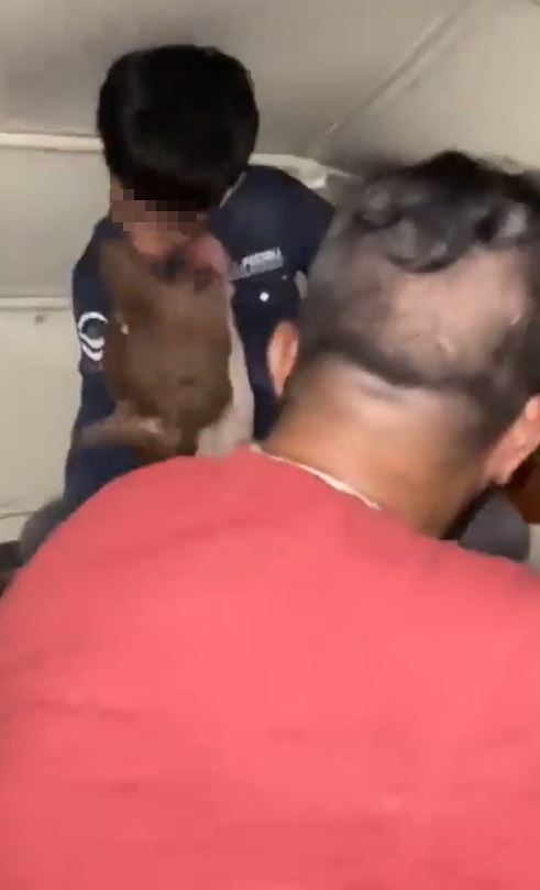印度一位男孩被兇猛的比特犬咬下巴,之後該犬隻還緊咬衣服左右拉扯。(圖/翻攝自X)