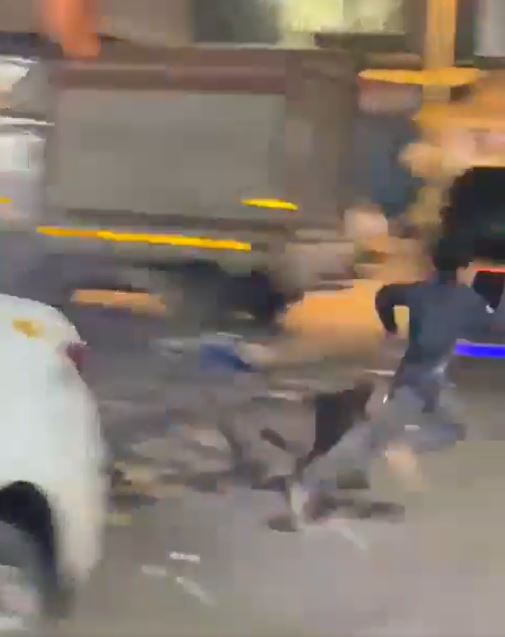 哈姆札被咬後嚇得狂奔逃走,比特犬則是窮追不捨。(圖/翻攝自X)