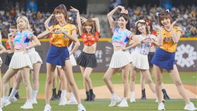 ▲Fubon Angels成員大頭負責編排明星賽開場舞。（圖／富邦育樂提供） 