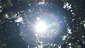 好天氣、大太陽、出遊(圖/記者邱榮吉攝影)